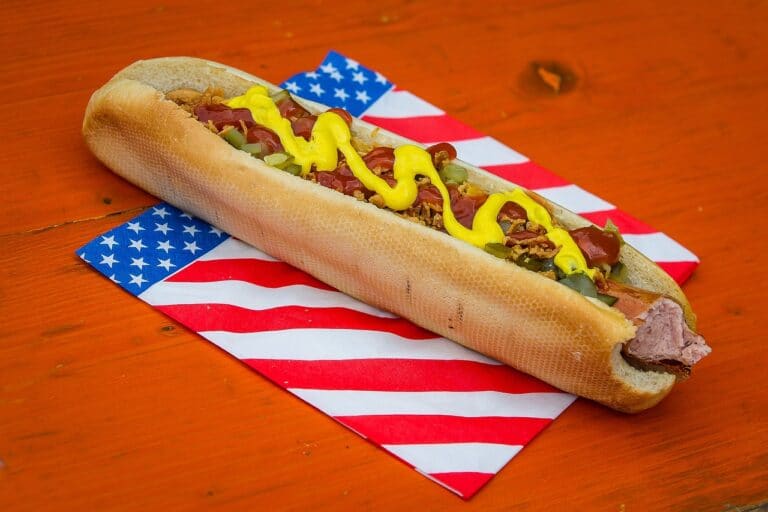 THE MOST TYPICAL AND DELICIOUS MEALS FROM THE UNITED STATES : hot dog